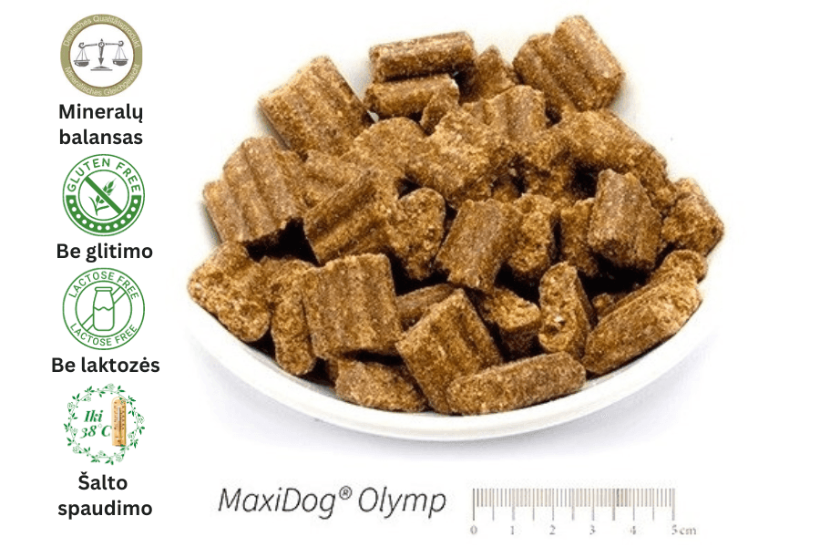 Šalto spaudimo sausas šunų maistas Reico MaxiDog OLYMP