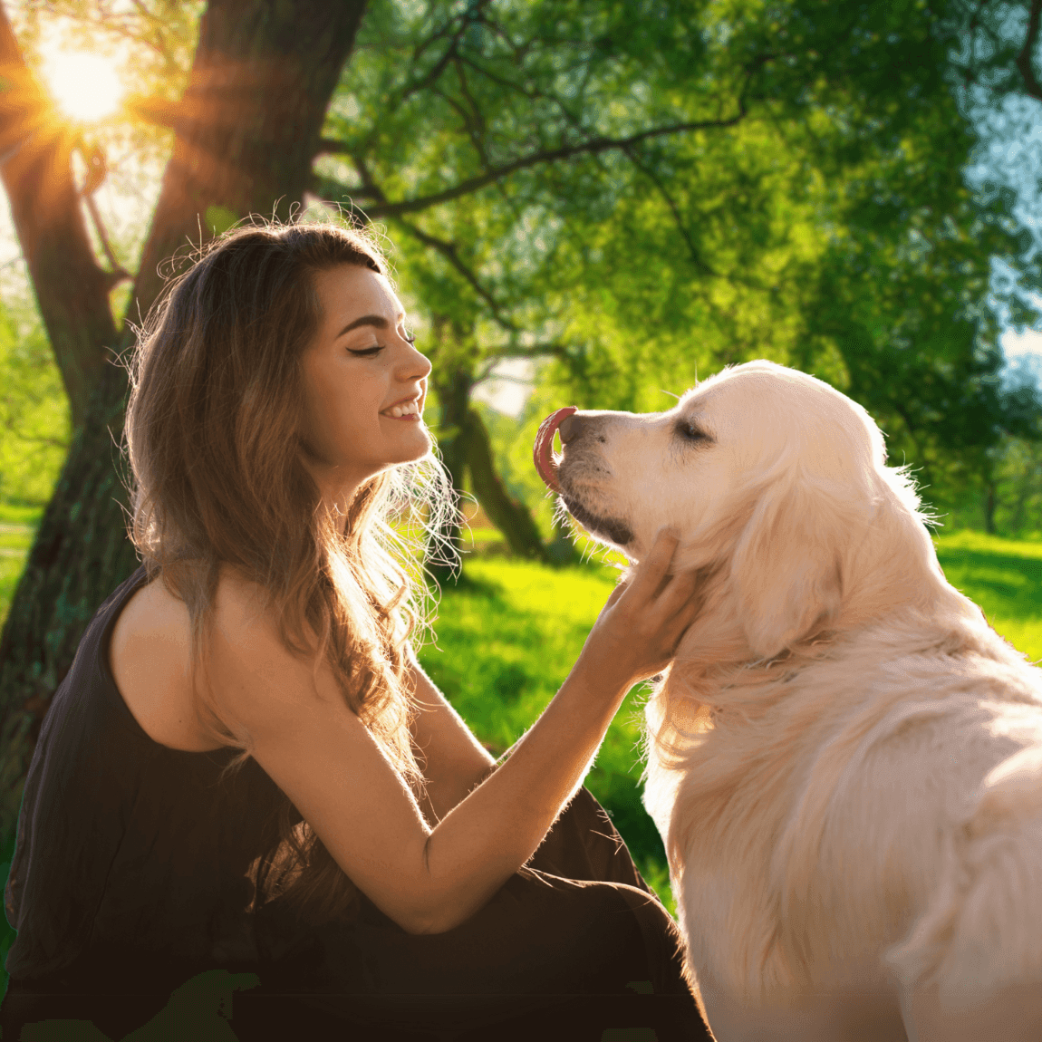 Woman gently petting a smiling Golden Retriever in a sunlit park.
