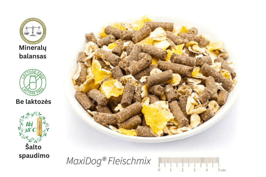 Šalto spaudimo šunų maistas senjorams Fleischmix - Reico │ Biolinija
