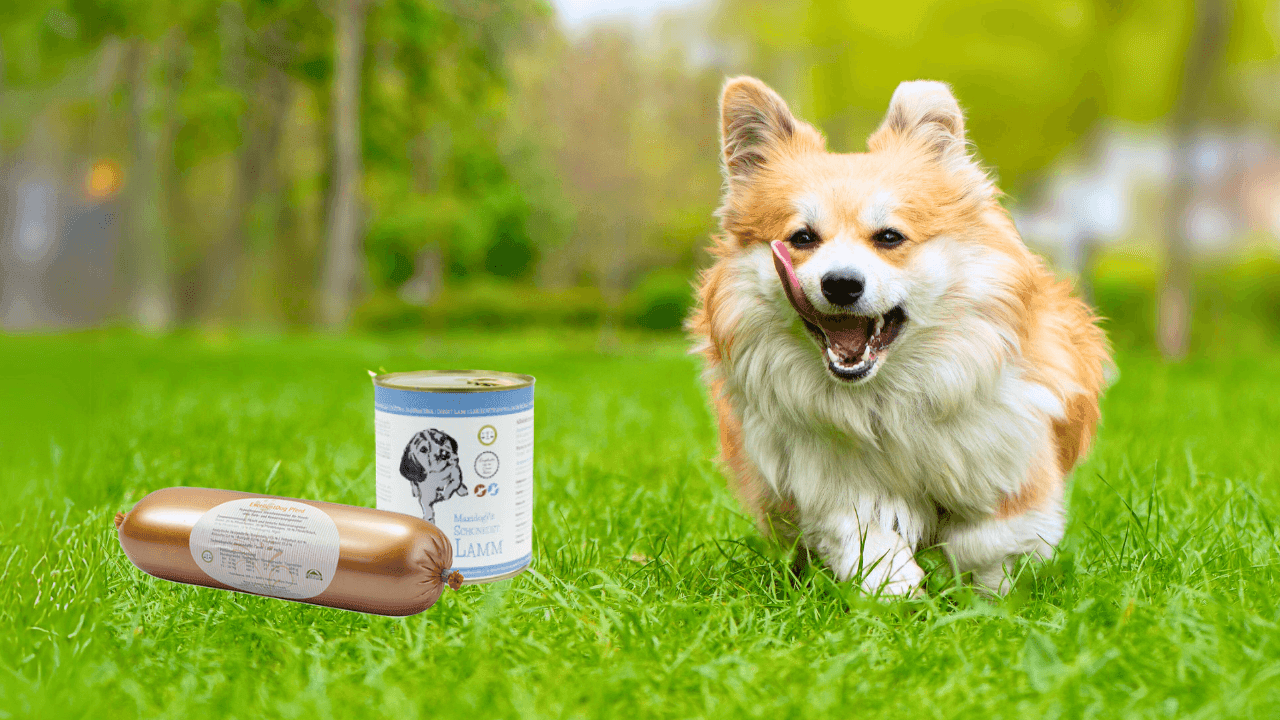 Šlapias-šunų maistas konservai sunims Reico │ Biolinija